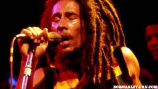 Bob Marley - Ambush in the night - Live Reggae Sunsplash 1979