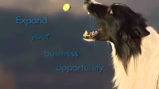 Protandim Canine Health
