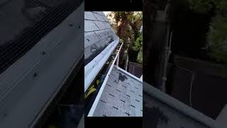 How to evict squirrel from Attic, one way door installation and how to do squirrel exclusion.