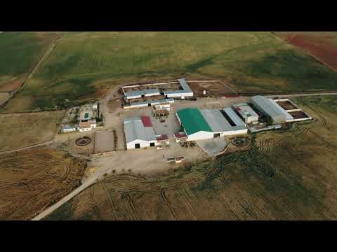 PABLO CARRASCO - CORTIJO SET / TECH HOUSE MIX 2021