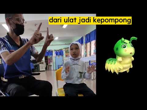 Lagu Dari Ulat Jadi Kepompong dengan lirik dan Gaya gerakkan
