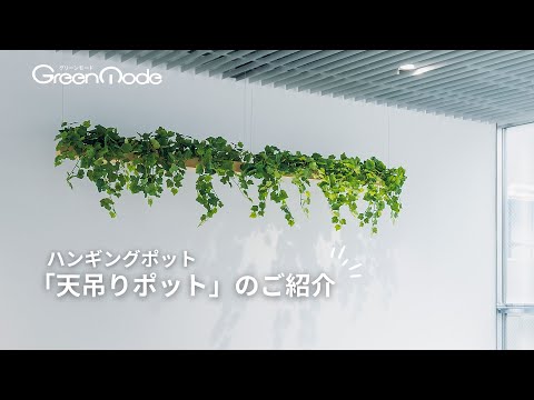 天吊りポット | 天井や壁から吊るして使うハンギングタイプ