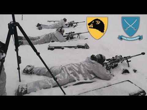 Kavesk - patrulje/skarpskyttertroppen Panserbataljonen 1908 dimmefilm