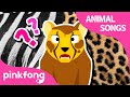 Did You See Cheetah’s Pattern? | Animal Songs | Learn Animals | Pinkfong Animal Songs for Children