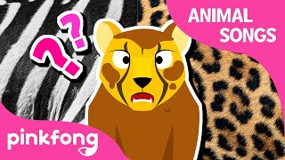 Did You See Cheetah’s Pattern? | Animal Songs | Learn Animals | Pinkfong Animal Songs for Children