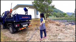 preview picture of video 'Korean Country Life | Pemandangan Desa Seoseok Gangwondo | Pergi ke ladang cabe | Summer Vacation'