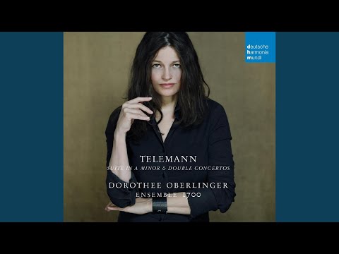 Concerto for Recorder and Flute in E Minor, TWV 52:e1: IV. Presto