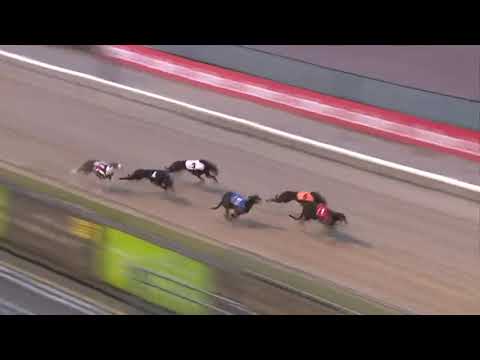 Distant Move - Ladbrokes Track Championship 630