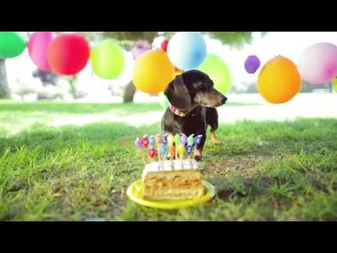Cumpleaños feliz sin ti - Jōse Molina (Video Oficial)