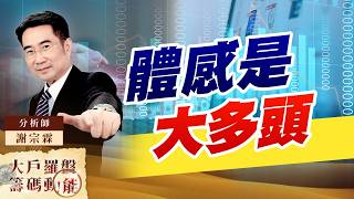 體感是大多頭｜大戶羅盤籌碼動能 ｜謝宗霖