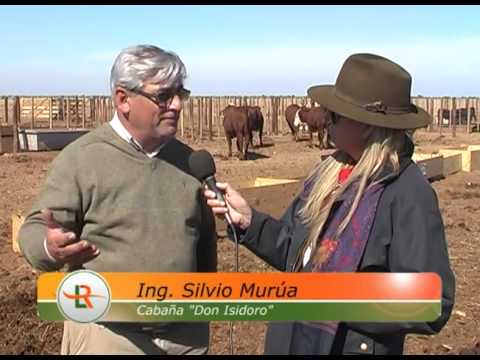 Cabaña Don Isidoro - Bloque 2/6