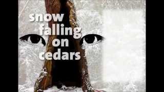 Rhodes Raise your love