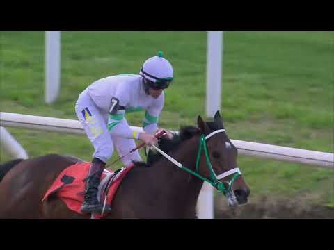 230929 c02 LEOPARD KING