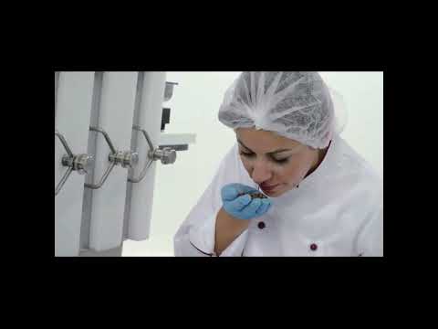 Techno 3 Chocolate Production System