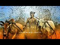 Padara Padara Maharshi Whatsapp Status Video