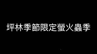 坪林季節限定螢火蟲季