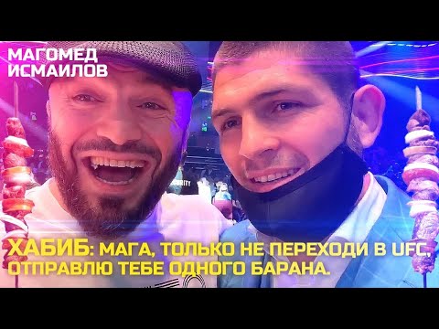 Хабиб Нурмагомедов: Мага,только не переходи в UFC. Отправлю тебе одного барана) Магомед Исмаилов👌🏽