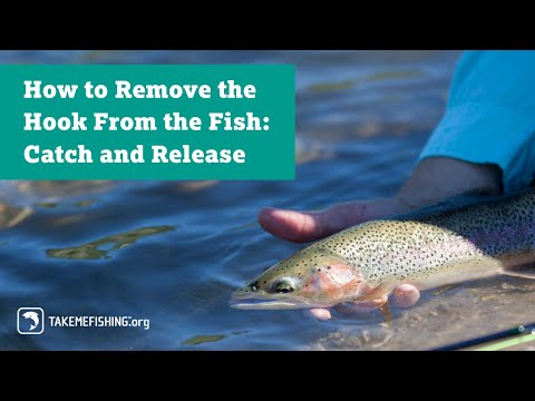 How to Remove the Hook From the Fish: Catch and Release