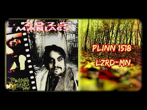 16. Plinn 1518 - LZRD-MN [Dubstep / Hardcore ]