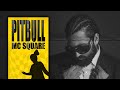 MC SQUARE Pitbull Prod The Kidd Official Video Def Jam India