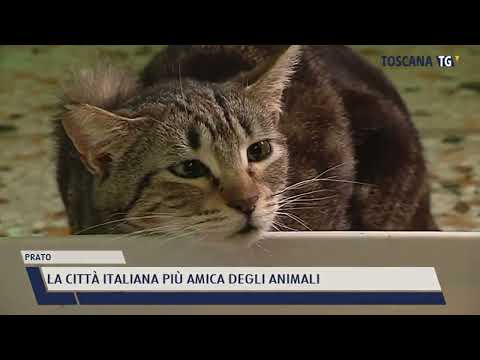 2022-01-19 PRATO - LA CITTÀ ITALIANA PIÙ AMICA DEGLI ANIMALI