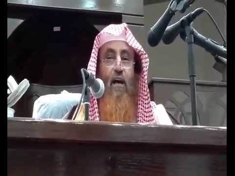 سفينة النجاة