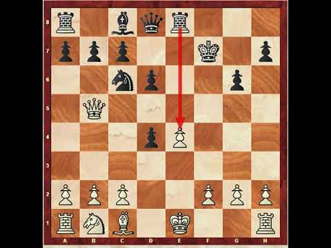 Meek Alexander Beaufort VS Paul Morphy 1855