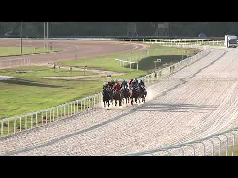 2020.10.18. 09. futam - OSTINATO HENDIKEP (II.o.) (szintetikus pálya)