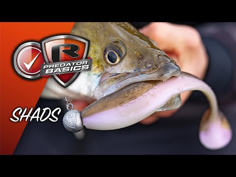 PREDATOR BASICS #2 | How fish with shads to catch perch and pike | Lure fishing for beginners