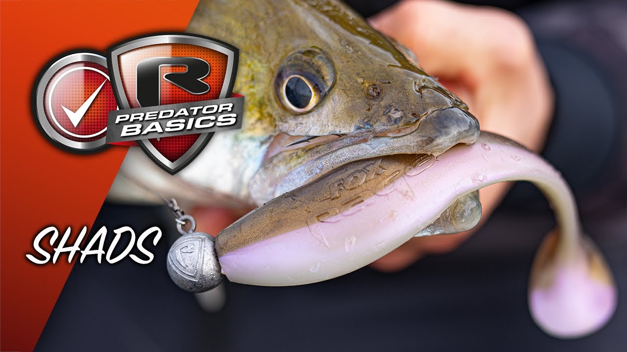 PREDATOR BASICS #2 | How fish with shads to catch perch and pike | Lure fishing for beginners