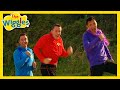 Rolling Down The Sandhills Running Up The Sandhills ️ The Wiggles ️ Wiggle Bay OGWiggles
