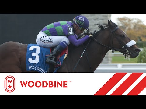 2019 Overskate Stakes: Woodbine, October 26, 2019 - Race 3