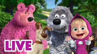 Download lagu 🔴 LIVE! Masha dan Beruang 👧🐻 Kami Tertawa dan Bercanda 🤪🥳 Kartun anak-anak 🎬Masha and the Bear mp3