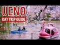 Ueno Park And Beyond A Walking Tour