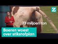 Stikstofprobleem in beeld: 7 keer meer vee dan inwoners • Z zoekt uit