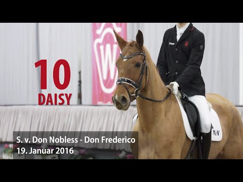 10 Daisy Stute v. Don Nobless   Don Frederico