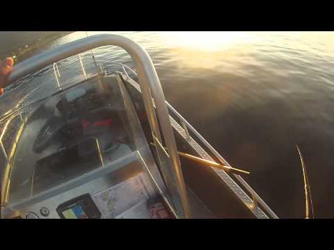 Norway andorja, jätti turska