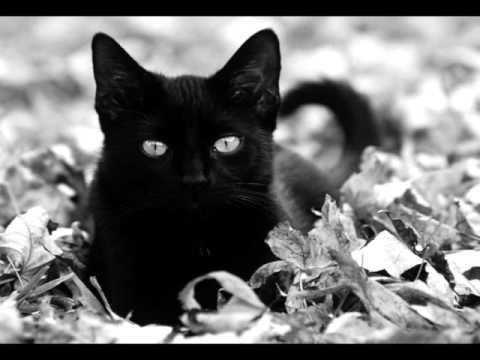 Medusa'scream - Тушь