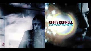 Wave goodbye Chris Cornell Backing track with vocals Not guitar