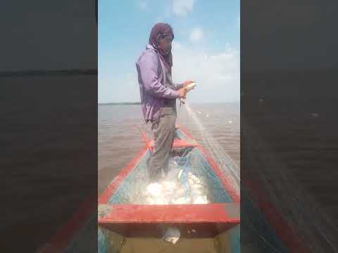 @pescar nas margens do Rio Amazonas, # município de #parintins #AM