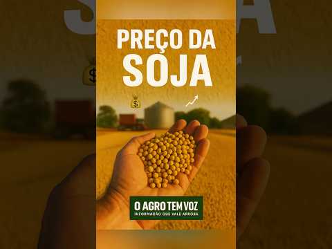 Soja — Mercado Disponível (21/07/2026)