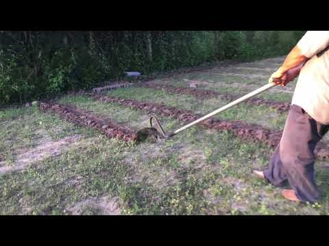 Revolutionize Your Gardening with THE DUC'S Plow - The Ultimate Gardening Companion!