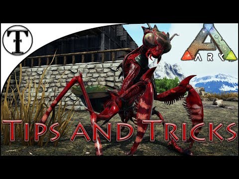 Fast Mantis Taming Guide :: ARK : Survival Evolved Tips and Tricks