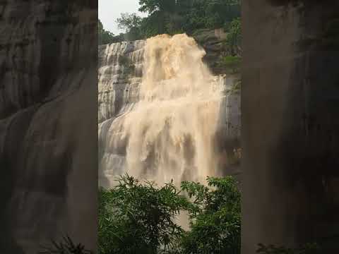 රිකිල්ල ඇල්ල