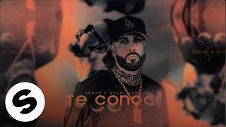 Zenar, Nicky Jam - Te Conocí (with Nicky Jam) [Official Audio]