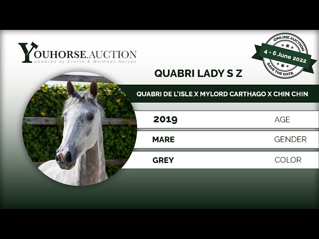 Quabri Lady S Z ridden