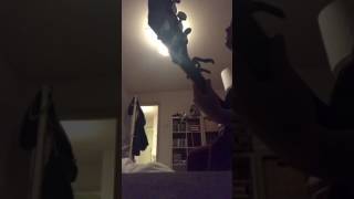 I Miss You - Randy Newman