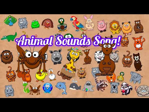 Animal Sounds Song Q63 | Nursery Rhymes for Babies | Nursery Rhymes for Toddlers | Emdikidstv