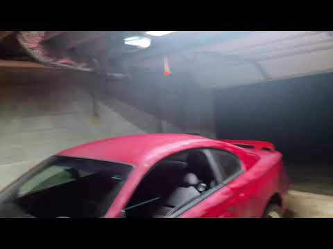 YouTube video about: How to get bird out of garage?