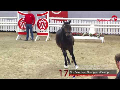 17  First Selection -  Ehrenpreis - Fleurop